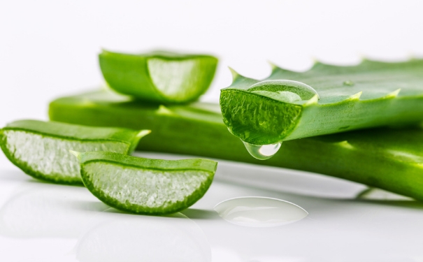 «��Ӧ����ô�� «���ĳԷ�����Щ